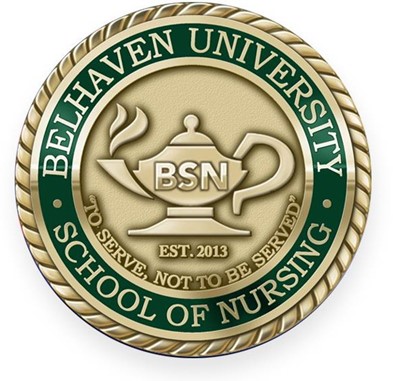 BSN Logo.